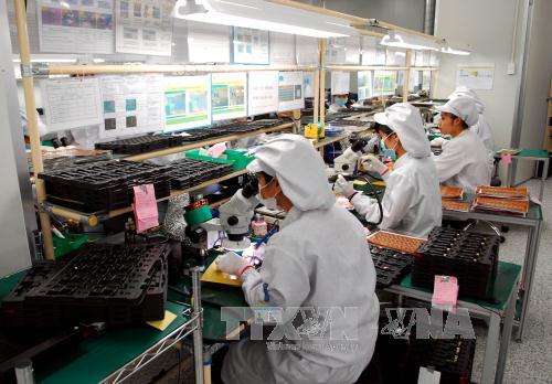 2015 - Năm đột phá trong quan hệ kinh tế Việt - Hàn ảnh 1